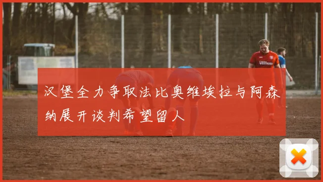汉堡全力争取法比奥维埃拉与阿森纳展开谈判希望留人